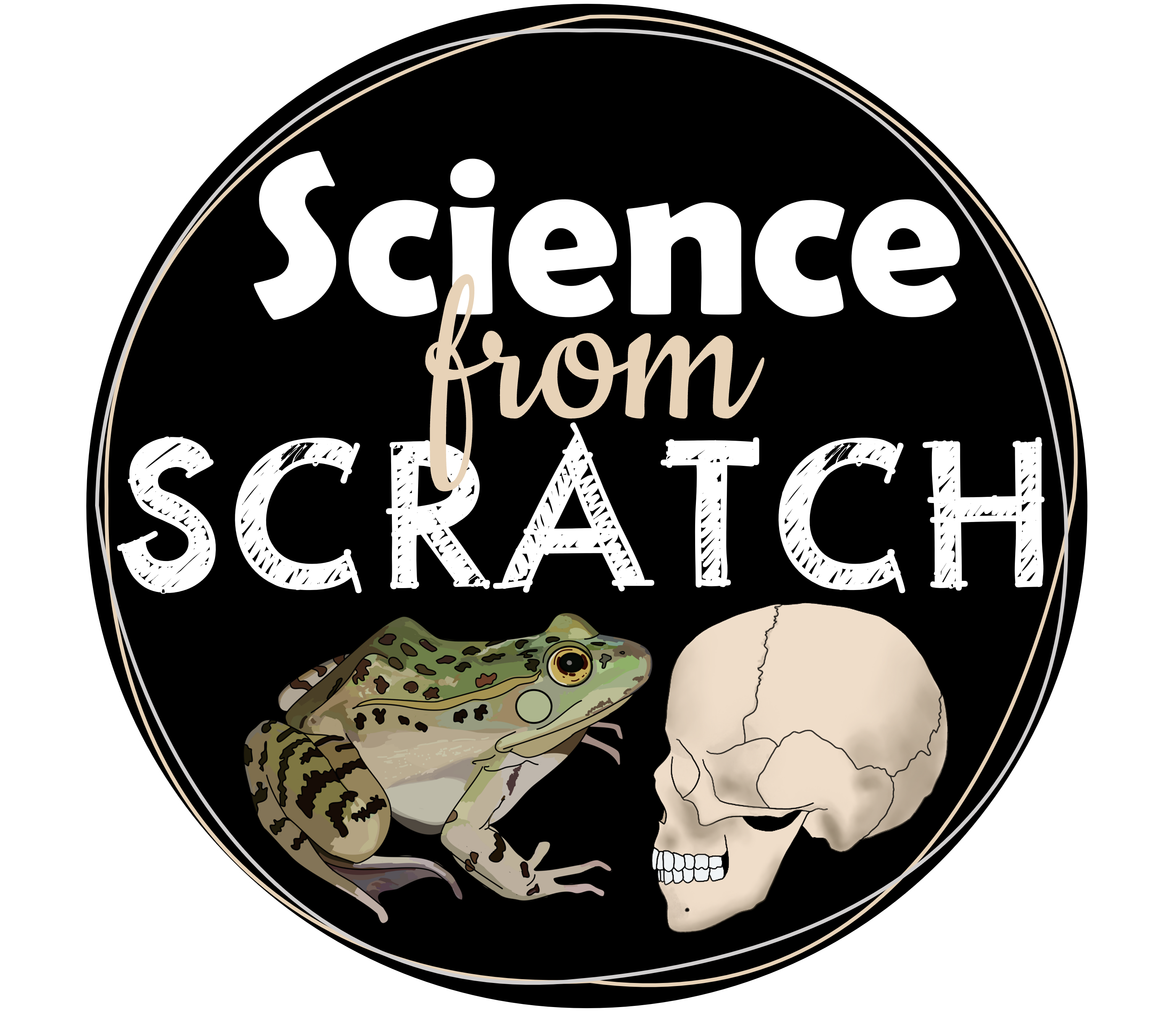 Icecream science from scratch